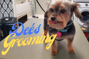 Dee's Pet Grooming