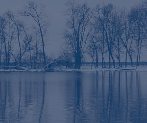 Next Town Board Meeting